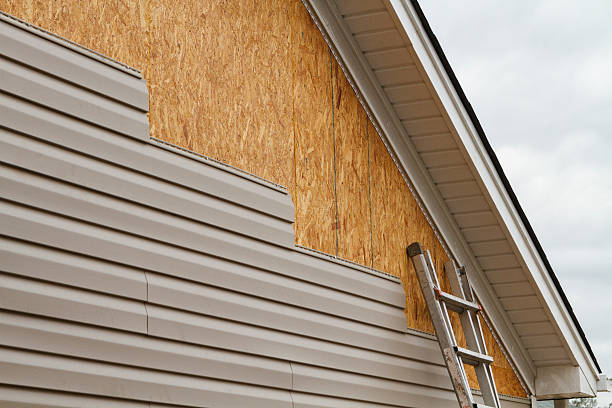 Professional Siding Repair technician working in Lakeville, MN